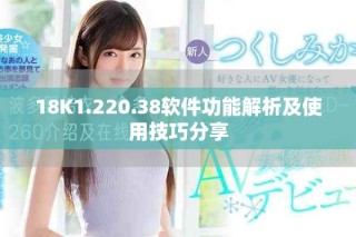 18K1.220.38软件功能解析及使用技巧分享