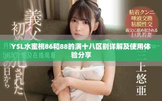 YSL水蜜桃86和88的满十八区别详解及使用体验分享