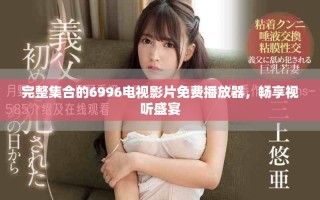 完整集合的6996电视影片免费播放器，畅享视听盛宴