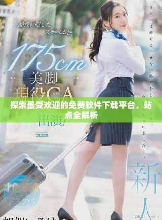 探索最受欢迎的免费软件下载平台，站点全解析