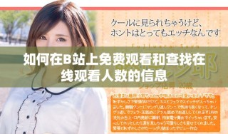如何在B站上免费观看和查找在线观看人数的信息