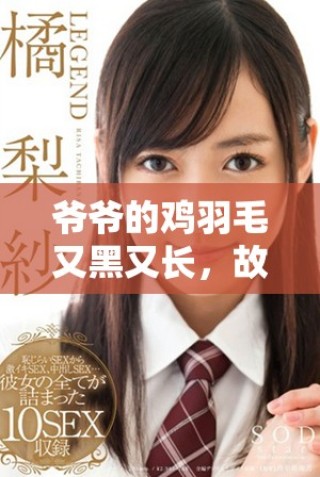 爷爷的鸡羽毛又黑又长，故事背后的秘密是什么