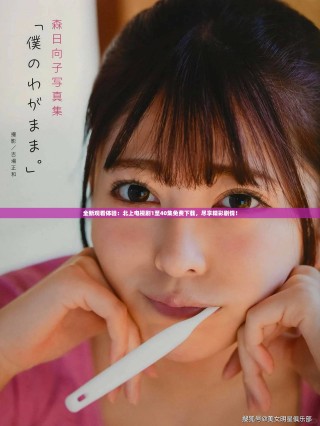 全新观看体验：北上电视剧1至40集免费下载，尽享精彩剧情！