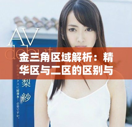 金三角区域解析：精华区与二区的区别与特色探索