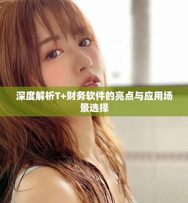深度解析T+财务软件的亮点与应用场景选择