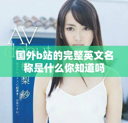 国外b站的完整英文名称是什么你知道吗