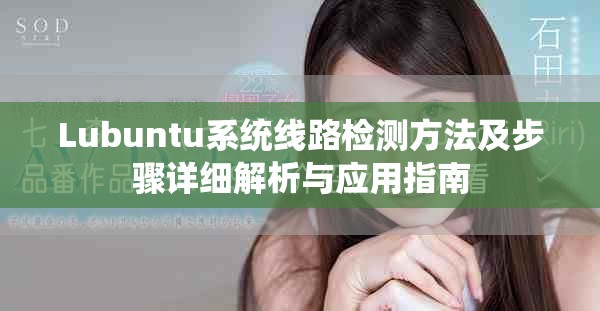 Lubuntu系统线路检测方法及步骤详细解析与应用指南