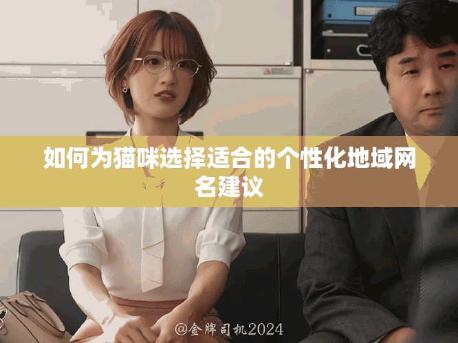如何为猫咪选择适合的个性化地域网名建议