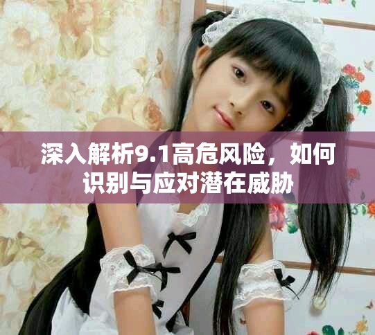 深入解析9.1高危风险，如何识别与应对潜在威胁