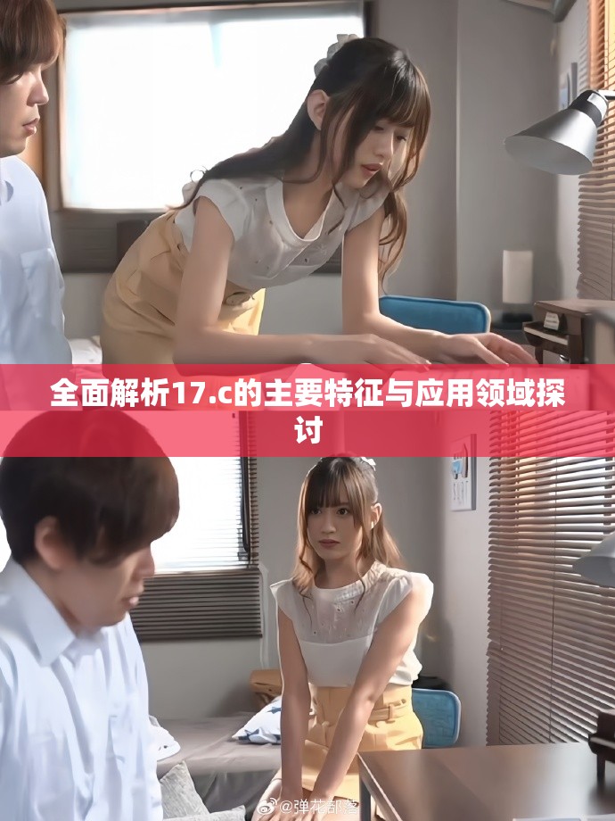 全面解析17.c的主要特征与应用领域探讨