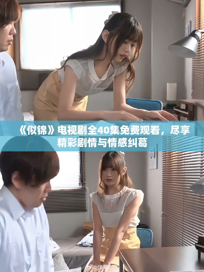 《似锦》电视剧全40集免费观看，尽享精彩剧情与情感纠葛