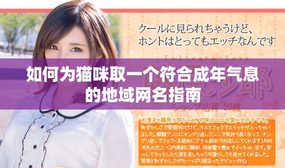 如何为猫咪取一个符合成年气息的地域网名指南