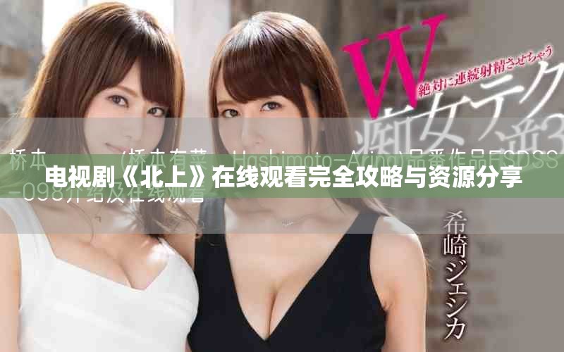 电视剧《北上》在线观看完全攻略与资源分享