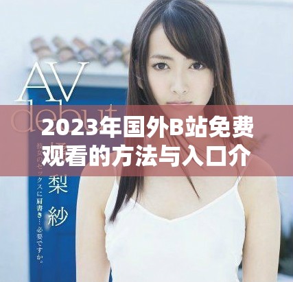 2023年国外B站免费观看的方法与入口介绍