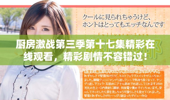 厨房激战第三季第十七集精彩在线观看，精彩剧情不容错过！